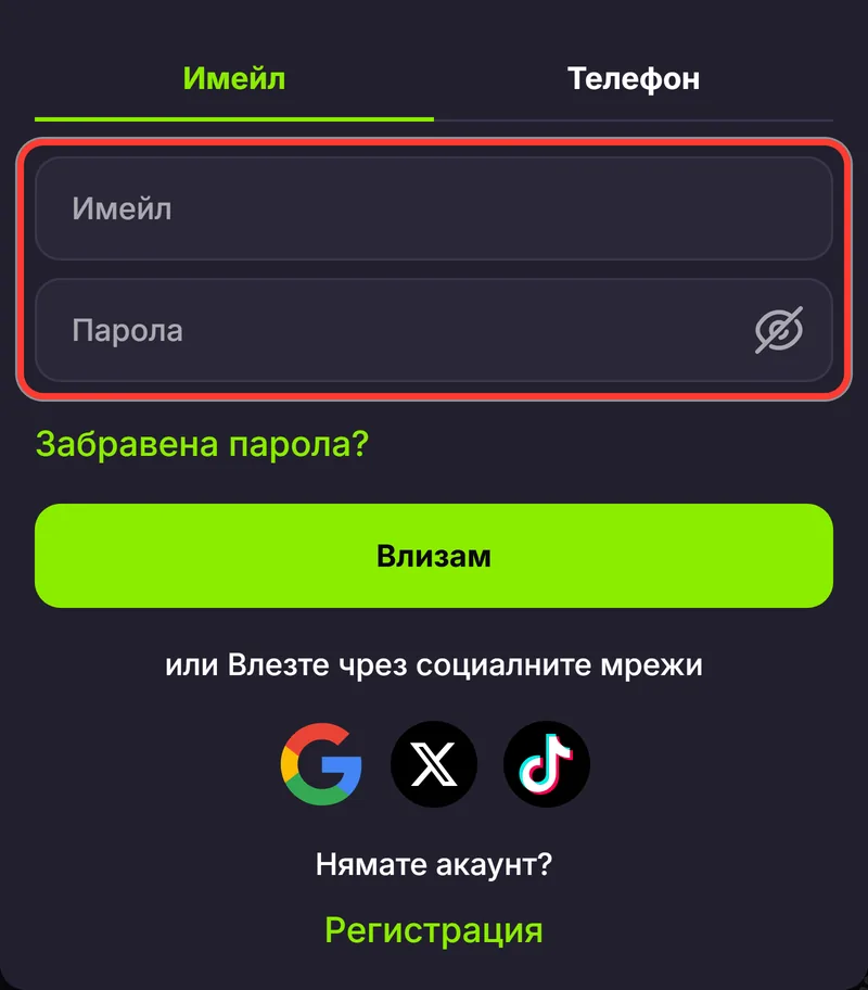 Полета за имейл и парола във формата за вход